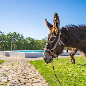 Burro Portimão